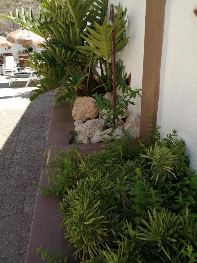 Abi&Lei Vv Apartment Candelaria Exterior photo